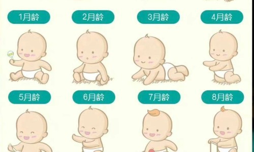 宝宝脾不好什么原因网—知名的宝宝脾胃不好可以吃面条吗网站,分享宝宝脾胃不好积食知识